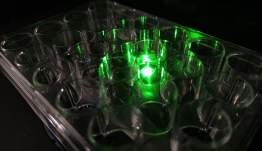 オーストラリアのコンソーシアム、アルツハイマー病研究に向けた量子「ブレイン・オン・チップ」プラットフォームを開発